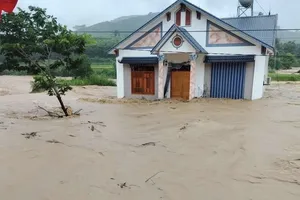 Chuyên gia khí tượng bác bỏ tin giả về bão Paolo