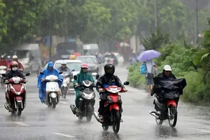 Miền Bắc rét đậm, Nam Trung bộ mưa rất to