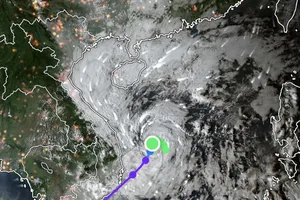 Bão số 15 đã suy giảm thành áp thấp nhiệt đới