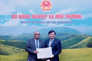 ADB viện trợ 2 triệu USD giúp miền Trung khắc phục mưa lũ