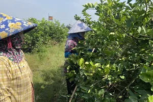 Miền Bắc sương mù về đêm và sáng, miền Nam ngày nắng