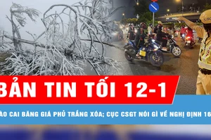 Bản tin tối 12-1: Băng giá phủ trắng xóa nhiều nơi ở Lào Cai; Cục Cảnh sát giao thông nói gì về tin 'Nghị định 168 xây dựng sai thủ tục'?