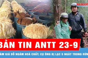 Bản tin ANTT 23-9: Đường dây làm giá đỗ ngâm hoá chất; Tìm thấy cụ ông bị lạc 5 ngày trong rừng