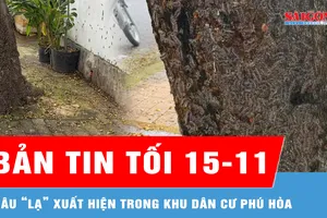 Bản tin tối 15-11: Sâu “lạ” xuất hiện trong khu dân cư Phú Hòa