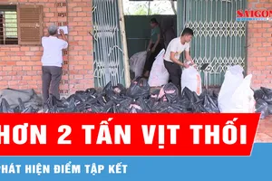 Phát hiện điểm tập kết hơn 2 tấn thịt vịt hôi thối tại phường Bến Cát 