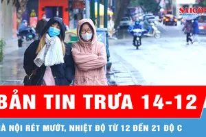 Bản tin trưa 14-12: Hà Nội rét mướt, nhiệt độ từ 12 đến 21 độ C