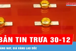 Bản tin trưa 30-12: Sáng nay, giá vàng lao dốc