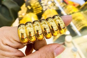 附图。图自互联网