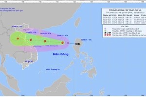 热带低气压已转强为5号台风 