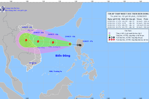 8月23日清晨，热带低气压中心位置及国家气象水文预报中心模式预报移动路径。 