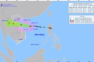 2025年8月24日8时的5号台风路径和强度预报图。 