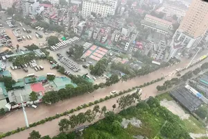 5号台风致3人死亡 13人受伤