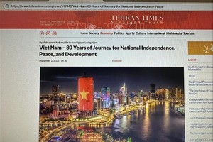 《德黑兰时报》网站屏幕截图。 