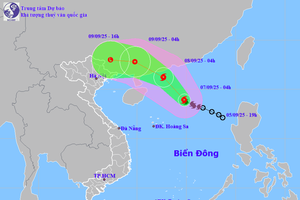 7号台风移动方向预报。