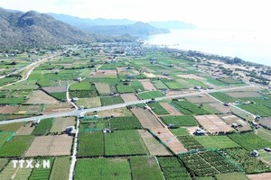 核电项目—庆和省的新增长重地