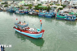 解除IUU“黄牌”警告：阻止不符合条件渔船出海作业