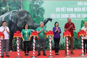 2025年大象保护周开幕式。