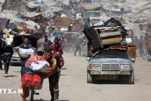 八国外长重申将共同努力立即结束加沙战争