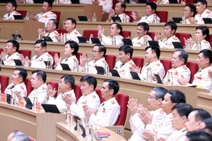 与会代表。图自越通社 