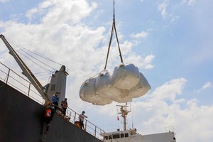 越南大米长期以来在国际市场上享有盛誉，目前已出口至逾150个国家和地区。图自越通社 