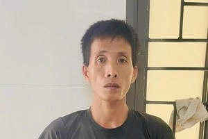 阮文南被逮捕。