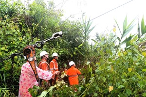 为受洪灾影响逾40万客户恢复供电