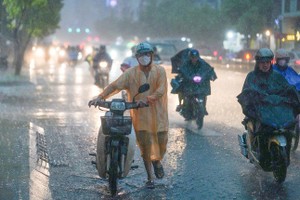受“海鸥”台风影响，胡志明市及南部地区未来几天将迎来强降雨。 
