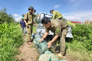 胡志明市东盛乡加固涌岸应对潮汛。 