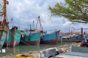 解除IUU“黄牌”警告：坚决处理违规渔船。图自越通社 