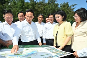 胡志明市市委书记陈留光视察芹耶填海旅游都市区项目进度 