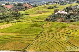 新广义省地域辽阔，从高山、边境到海岛，山海相连，风光壮丽，为将旅游业打造成为新阶段经济增长的重要动力奠定坚实基础。图自人民报 