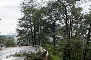 帕廉岭11月17日上午发生山体滑坡。 