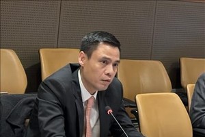 越南外交部副部长邓黄江。图自越通社 