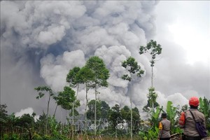 印尼塞梅鲁火山喷发。图自越通社 
