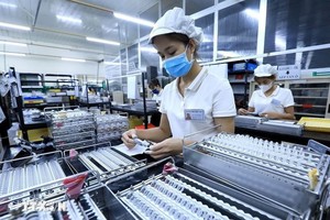 附图。 图自越通社 