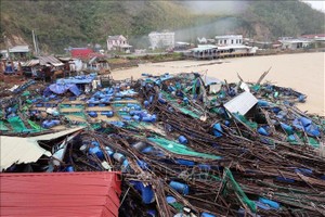 雨洪对德乐省水产养殖网箱造成严重损失。 