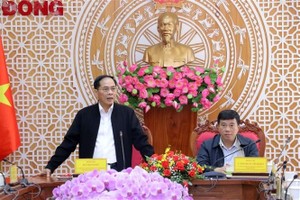 政府副总理裴青山致辞。图自越通社 