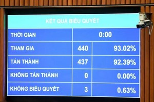 通过《新闻法》（修订）的投票结果。