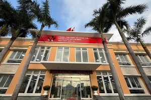 胡志明市公共行政服务中心投入运营首日。 