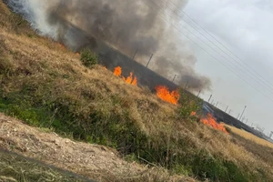 Cháy rừng tại Israel. Ảnh: ISRAEL FIRE AND RESCUE AUTHORITY