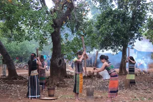 Thiếu nữ dân tộc S'tiêng sóc Bom Bo giã gạo truyền thống
