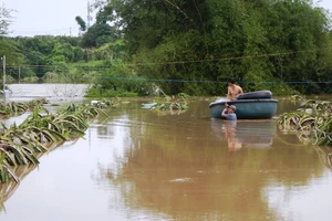 Người dân phải chèo thuyền thúng để di chuyển tài sản