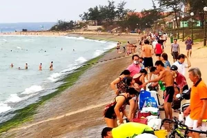 Bãi biển Đồi Dương (TP Phan Thiết) 