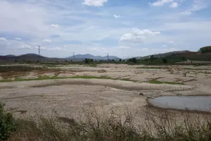 Nhiều khu vực giáp ranh TP Phan Thiết (tỉnh Bình Thuận) người dân phải hứng từng chậu nước máy chảy nhỏ giọt để phục vụ nhu cầu sinh hoạt.