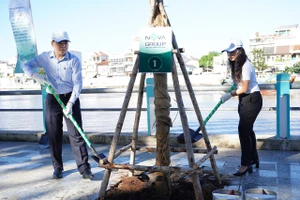 10 tỷ đồng cho chương trình trồng cây xanh tại tỉnh Bình Thuận