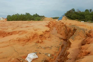 Công ty TNHH Delta-Valley Bình Thuận chưa đăng ký hợp đồng thuê đất, kê khai thuế và nộp thuế đối với diện tích 2.489.133,0m² đã nhận bàn giao. Ảnh: NGUYỄN TIẾN