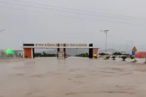 Khu công nghiệp Du Long bị ngập sâu trong nước