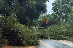 Khánh Hòa: Khẩn trương ứng phó mưa lớn, lũ quét và sạt lở đất