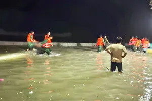 Huy động lực lượng tìm kiếm ngư dân mất tích