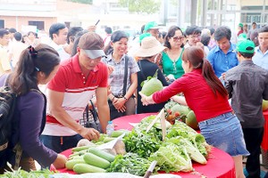 Dau Giay wholesale market comes into operation in Dong Nai (Photo: SGGP)